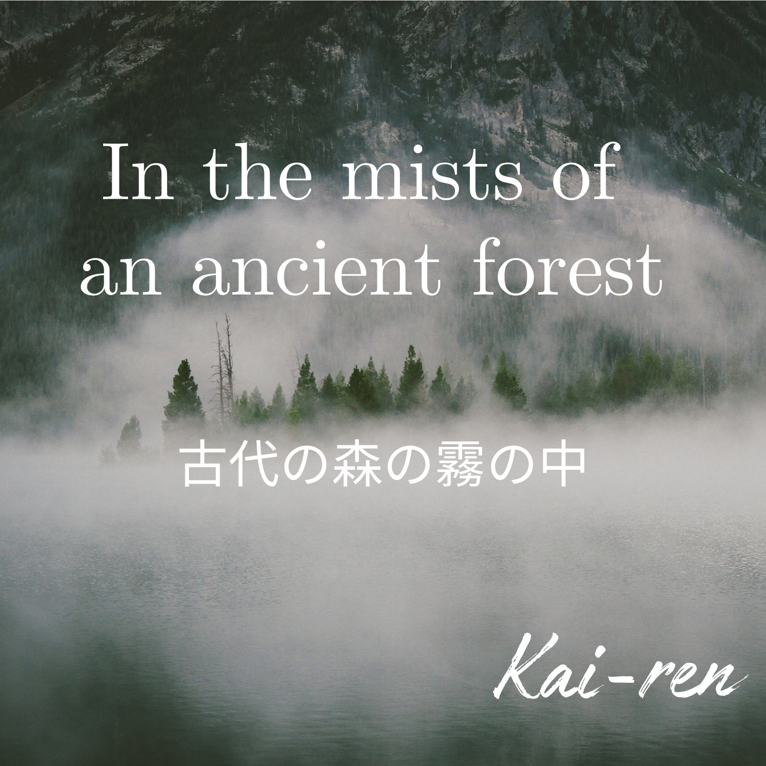 In the Mists of an Ancient Forest